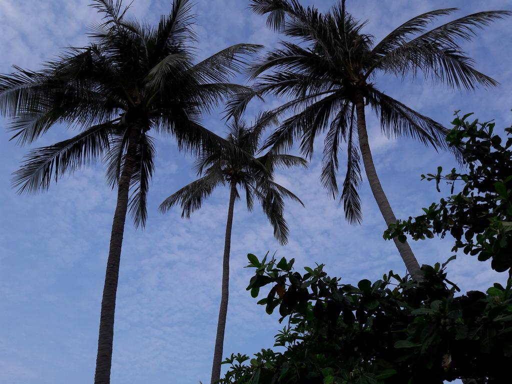 Bach Duong Hotel Phan Thiết Zewnętrze zdjęcie